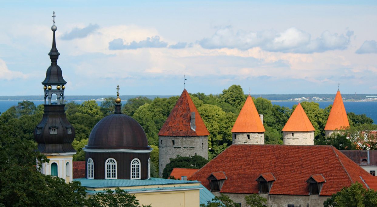 estoński cit